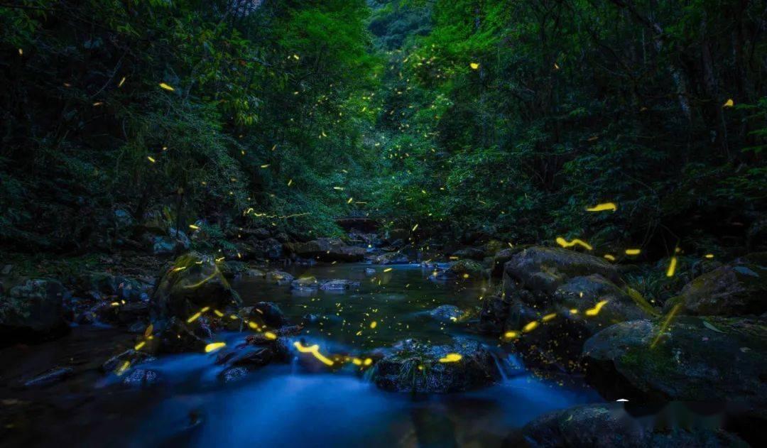 惊险！3吨炸药运输车出现在禁行公路上......