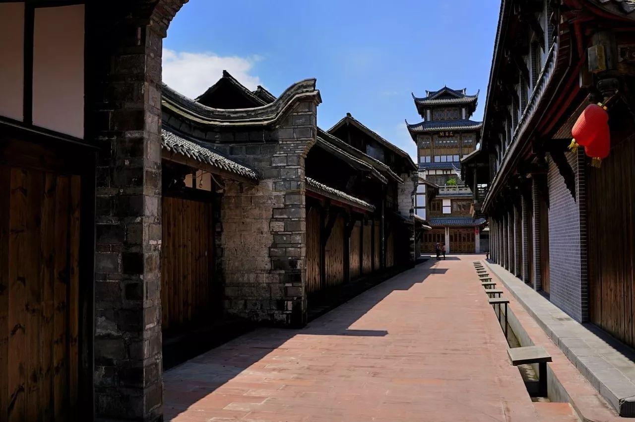 抓好机关党建要善用“种树之道”
